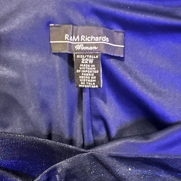 R&M RICHARDS Women’s Navy Ruched Glitter Gown Sleeveless Evening Dress Plus 22W. - Picture 5 of 5